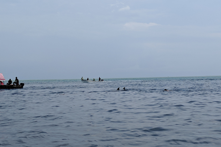Riserva Marina dell'Atollo di Mnemba: tour con snorkeling