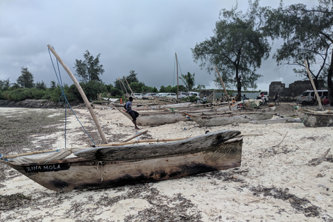 Riserva Marina dell'Atollo di Mnemba: tour con snorkeling