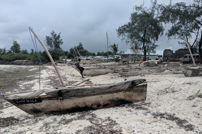 Riserva Marina dell'Atollo di Mnemba: tour con snorkeling
