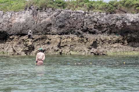 Zanzibar: Mnemba Atoll Marine Reserve Snorkeling Tour