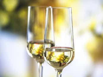 Trieste: History of Prosecco and the Karst Region