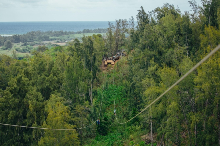 Oahu: Aventura en tirolina en North Shore con visita a una granjaOpción Zip Line sin Transporte (Punto de Encuentro)