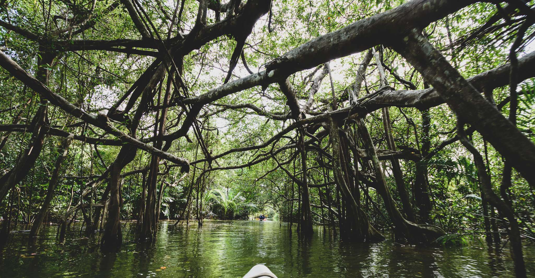 Khao Lak, pequeño paseo en canoa amazónica y tour por la cascada Tam Nang - Hizvo