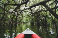 Khao Lak, Little Amazon Canoe Ride et Tam Nang Waterfall Tour - Housity