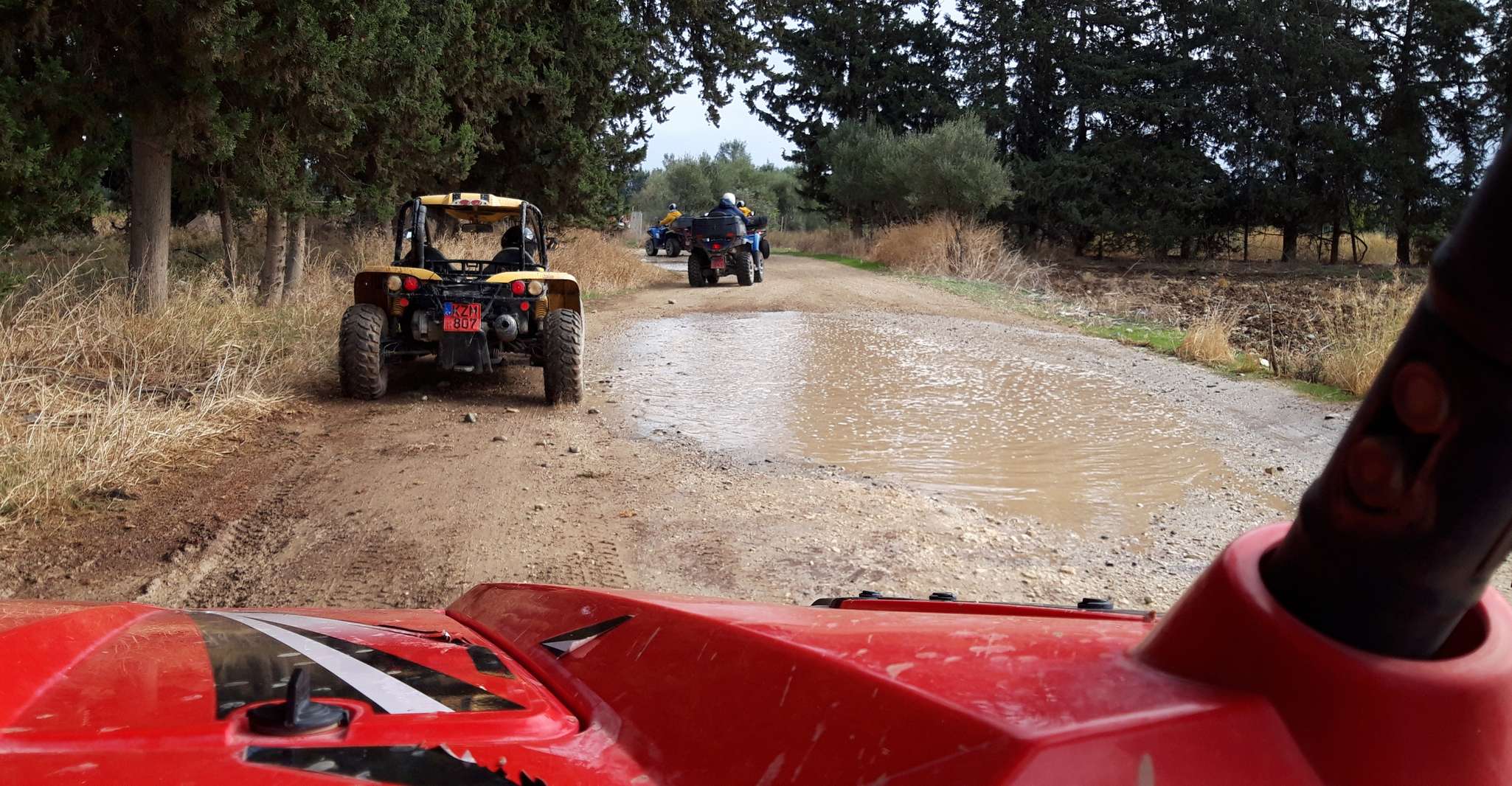 Paphos, Strand und Berg Buggy Safari - Hizvo
