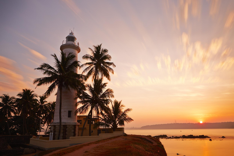 Desde Colombo: té blanco virgen y visita a la ciudad de Galle