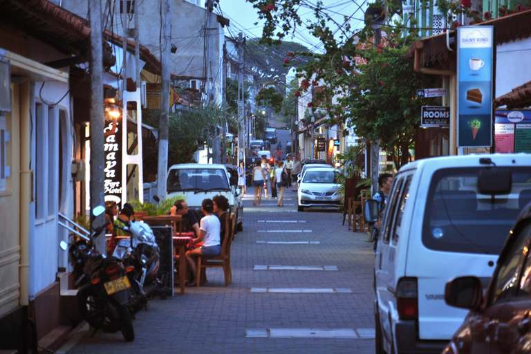 From Colombo: Virgin White Tea and Galle City Tour