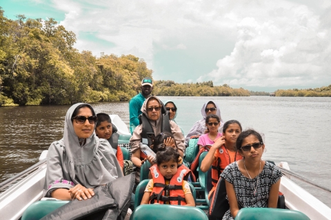Kalutara: visita al criadero de tortugas, safari en barco y recorrido por Galle