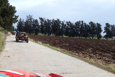 Pafos: tour en ATV 4x4 y buggy hasta la Roca de AfroditaATV/Buggy de 2 plazas