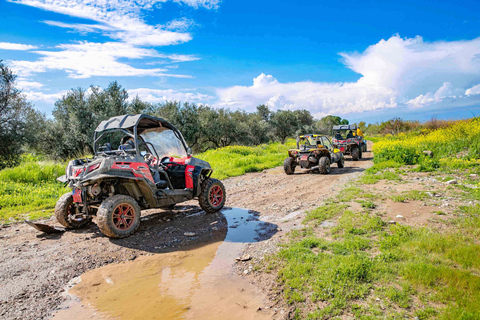 Ab Paphos: Allrad-Quad- & Buggy-Safari zum Aphrodite-Felsen2-Sitzer-Quad/Buggy