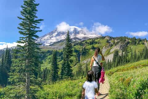 Seattle: Private Mt. Rainier Tour with Gourmet Lunch