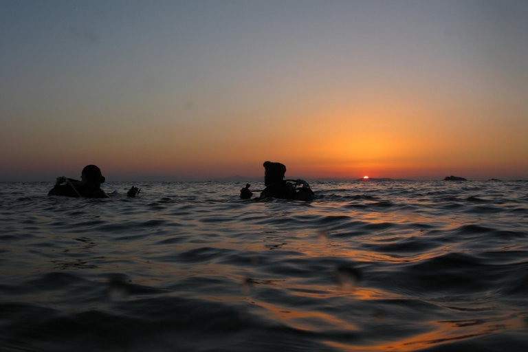 Ateny: Adventure Dives w Nea Makri dla certyfikowanych nurkówWschodnie wybrzeże Aten: 1 wycieczka łodzią nurkową