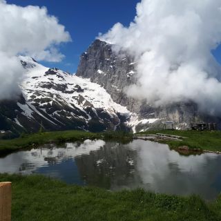 From Lucerne: The Heart of Swiss Alps Private Guided Hike