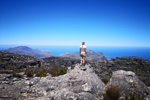 Città del Capo: escursione di 3 ore alla Table Mountain attraverso la gola di PlatteklipTable Mountain: escursione di 2 ore alla gola di Platteklip