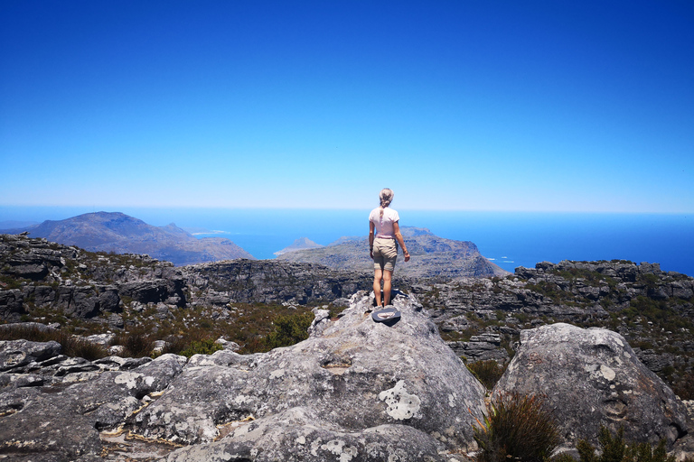 Cape Town: 2-Hour Table Mountain Hike via Platteklip Gorge