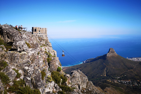 Città del Capo: escursione di 3 ore alla Table Mountain attraverso la gola di PlatteklipTable Mountain: escursione di 2 ore alla gola di Platteklip