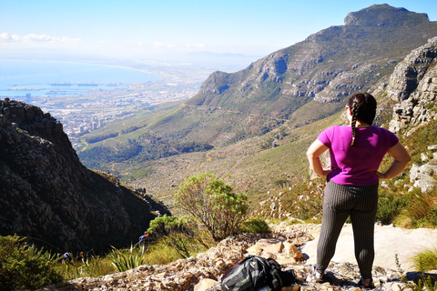 Città del Capo: escursione di 3 ore alla Table Mountain attraverso la gola di PlatteklipTable Mountain: escursione di 2 ore alla gola di Platteklip