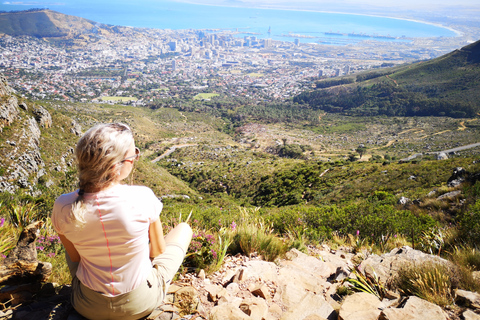 Ciudad del Cabo: Montaña de la Mesa por garganta Platteklip