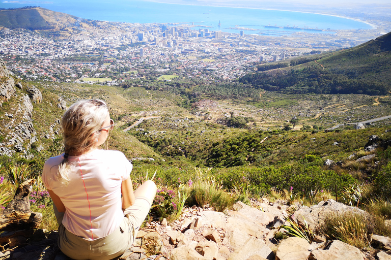 Ciudad del Cabo: Montaña de la Mesa por garganta Platteklip