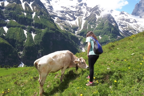 Van Luzern: het hart van de Zwitserse Alpen Privé begeleide wandelingVanuit Luzern: privédagwandeling in het hart van de Zwitserse Alpen