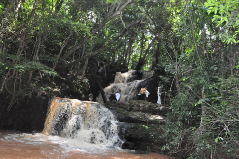 De Nairobi: randonnée nature dans la forêt de Karura