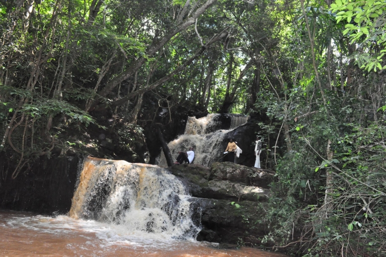 De Nairobi: randonnée nature dans la forêt de Karura