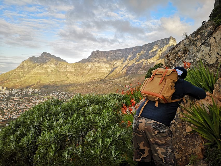 Cape Town: 3-Hour Lion's Head Sunset Hike | GetYourGuide