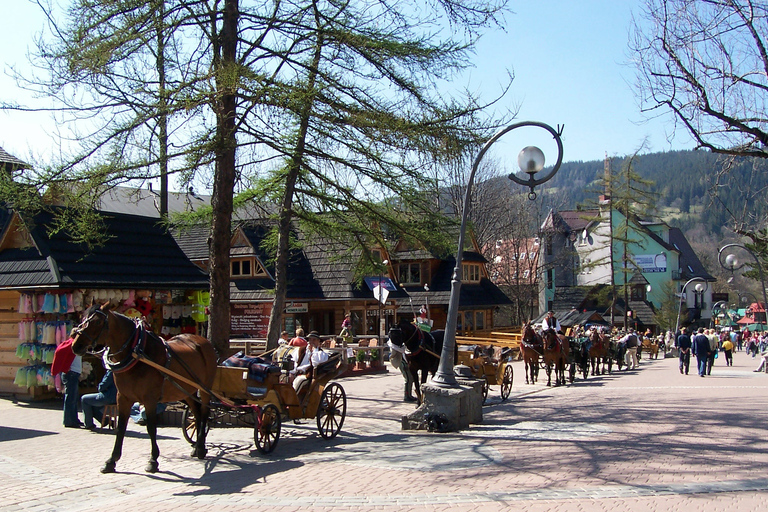 Krakau: Tatra-gebergte en Zakopane-dagtour per dag