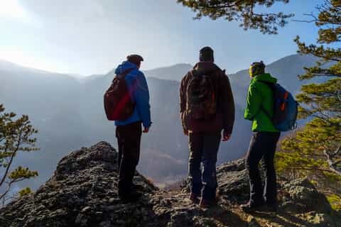 From Brasov: Wildlife Tracking in Putna Vrancea Natural Park