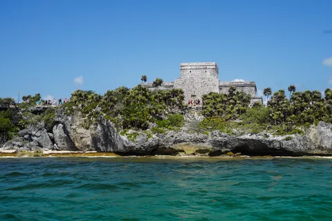 Visite d'une demi-journée des tortues et des cénotes au départ de Riviera Maya.
