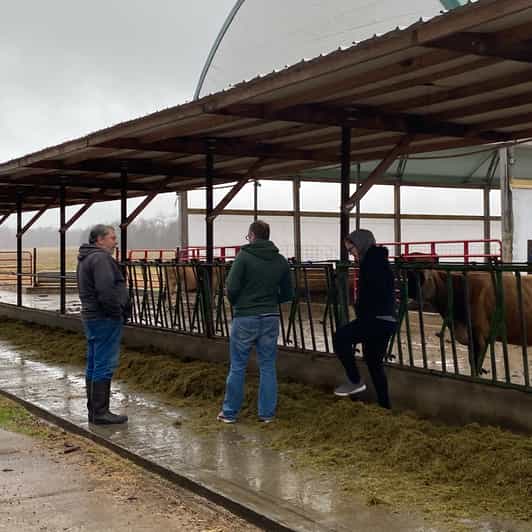 Nashville Rural American Farm Tour GetYourGuide