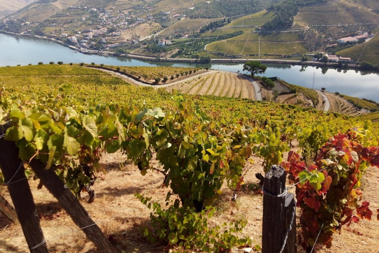 Porto: Authentieke kleine groep Douro Valley TourPorto: authentieke kleine groepsreis in de Douro-vallei