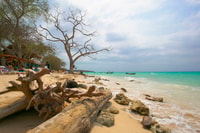 Viaje de un día completo a Playa Blanca desde Cartagena - Hizvo