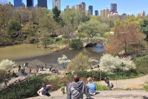 New York: Central Park Highlights -kävelykierros