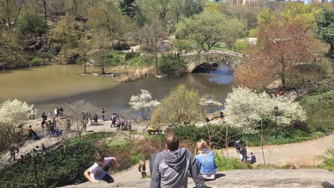 new york city 2.5hour central park highlights walking tour