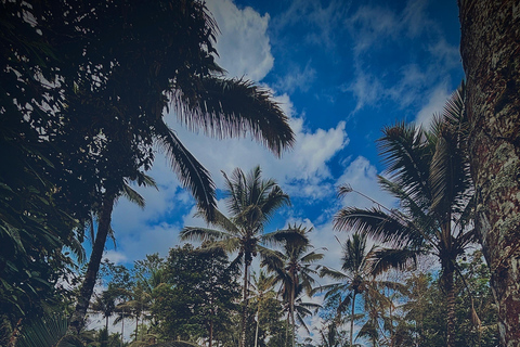 Ubud : Visite guidée d&#039;une aventure en VTT et en quadExcursion en VTT avec descente en eaux vives