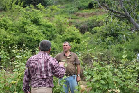 berat roshnik village wine tasting tour