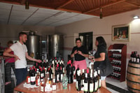 Klassische Weinprobe Tour von Berat - Hizvo