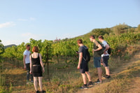 Classic Wine Tasting Tour of Berat - Housity