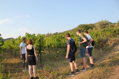 Visite classique de dégustation de vins de BeratDe Berat: visite de dégustation de vin