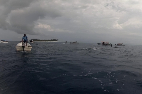 Sansibar: Schwimmen mit Delfinen & Schnorcheln - PrivattourTour mit Hoteltransfers ab Stone Town