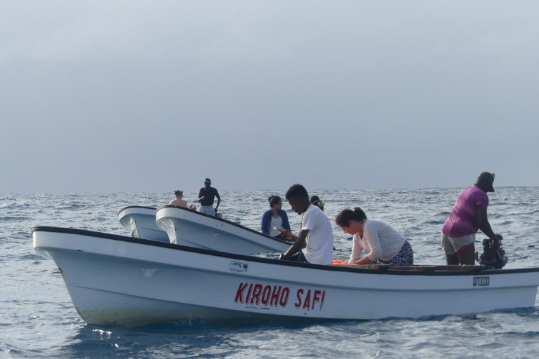 Sansibar: Schwimmen mit Delfinen & Schnorcheln - PrivattourTour mit Hoteltransfers ab Stone Town