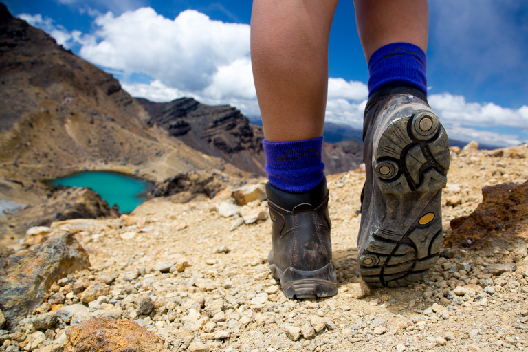 Vanuit Taupo: Pendeldienst naar Tongariro Alpine Crossing