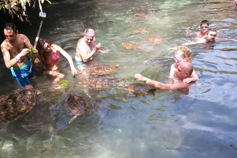 Tour por la costa norte de Zanzíbar y santuario de tortugas