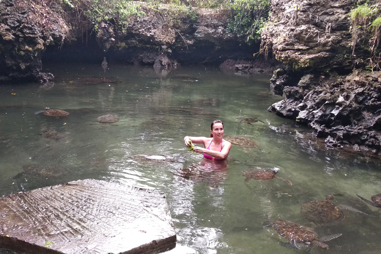 Zanzibar: wycieczka po północnym wybrzeżu i sanktuarium żółwi