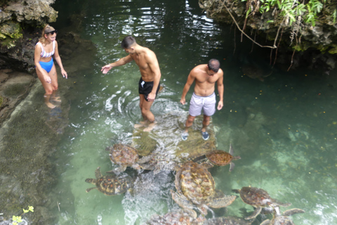 Zanzibar : côte nord et sanctuaire de tortues