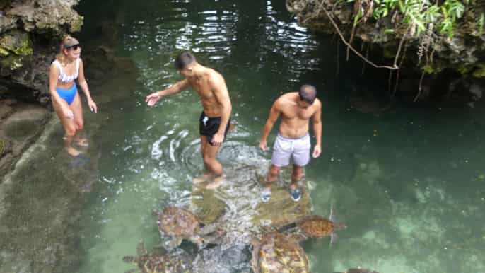 zanzibar north coast turtle sanctuary tour