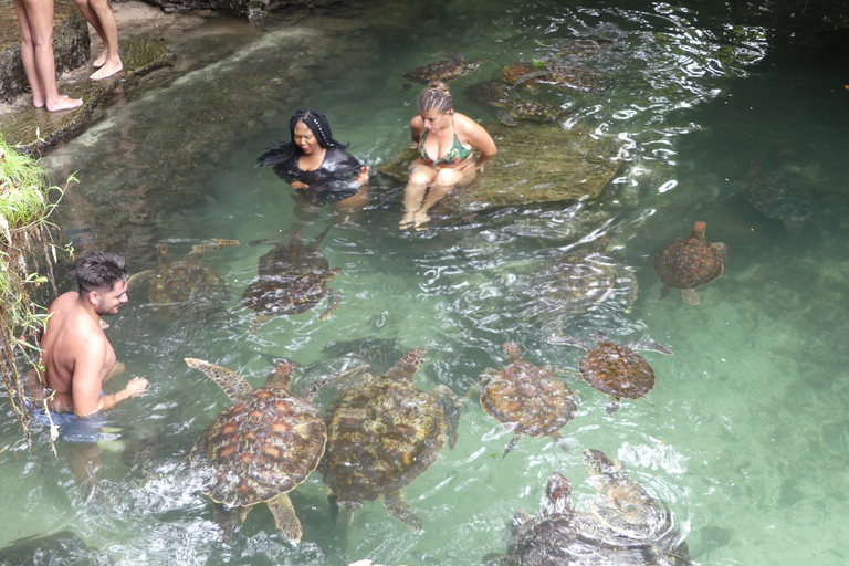 Zanzibar: wycieczka po północnym wybrzeżu i sanktuarium żółwi