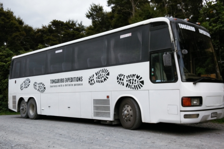 From Taupo: Shuttle Transfer for Tongariro Alpine Crossing Ketetahi Park N Ride
