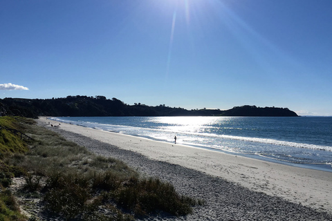 Waiheke Island: Skog och strand: Guidad promenad i premiumklassWaiheke Island: Skog och strand - guidad promenad